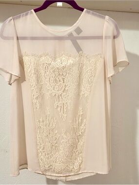 Sheer Lace-Panel Blush Top